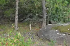 1747766298929.webp