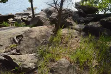 1747775064440.webp