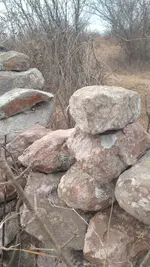IMG-20250518-WA0029.webp