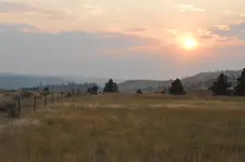 1748032969007.webp