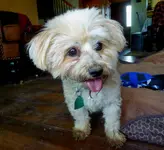 walk 041819 6(1).webp