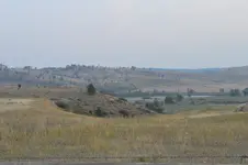 1748127306308.webp