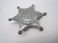 junior sheriff badge.webp