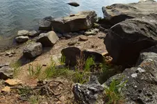 1748182970891.webp