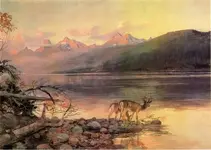 1748205780441.webp