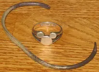 silver mickey.webp