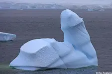 icebergREX_450x300.webp