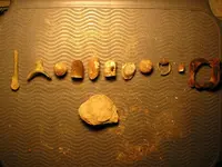 MD Pics 243.webp