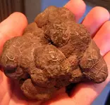 rocks 011.webp