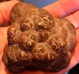 rocks 013.webp