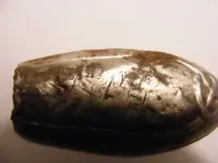 DSCF0113.webp