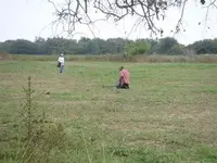SSCA0144.webp