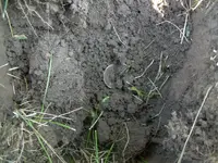 Finds 9-27-08 001.webp