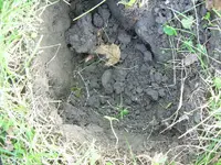 Finds 9-27-08 002.webp