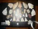 DSCN1897.webp