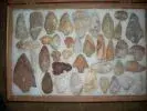 DSCN1931.webp