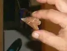 DSCN1943.webp