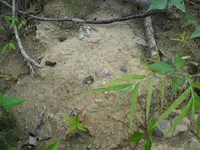 blade in-situ.webp