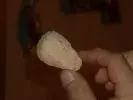DSCN1959.webp
