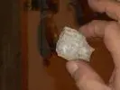 DSCN1962.webp