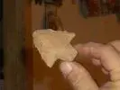 DSCN1979.webp