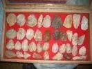 DSCN1989.webp