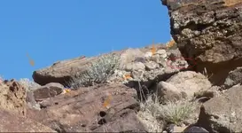 rocks.webp