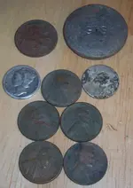 sept1stfinds.webp