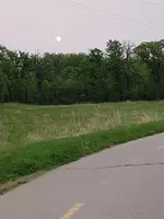 Smokey Morning Hunt In The Park - May 30 2025.webp
