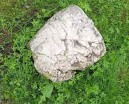 IMG_20250530_171922.webp