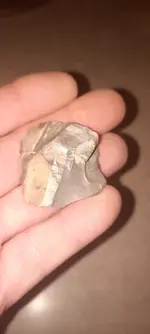 20250531_201225.webp