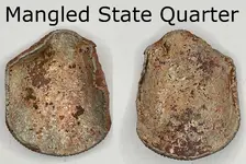 Quarter Gimp.webp
