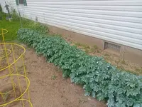 IMG_20250608_175809831.webp