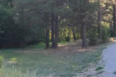 1749606520639.webp