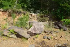 1749651112707.webp