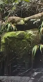 Capture+_2025-06-11-23-50-33.webp