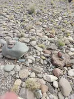 Rocks next to each other.webp