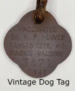 Dog Tag Gimp.webp