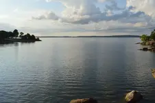 1750274497393.webp