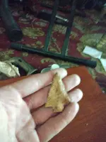 IMG_20250617_142242198.webp