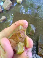 IMG_20250617_140856052.webp