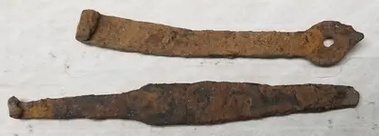 3 - Strap hinge vs Unidentified - TOP.webp