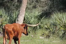 DSCN4827.webp
