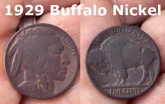 Buffalo Gimp.webp