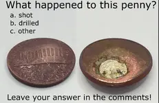 Penny Gimp.webp