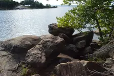 1750692857650.webp