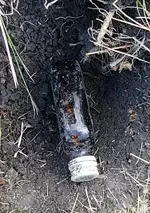 Little Brown Jug - In the hole.webp