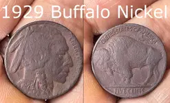 Buffalo gimp.webp