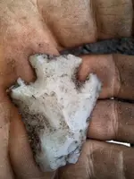 Clay.webp