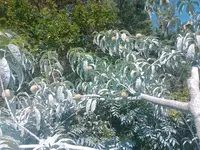IMG_20250702_153724179.webp